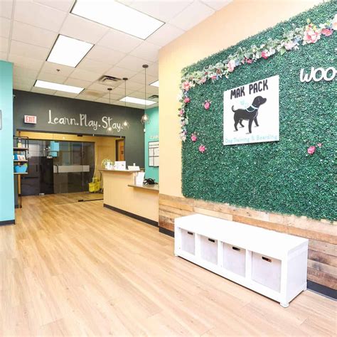 doggy day care annapolis|Dog Daycare and Cat Boarding Annapolis